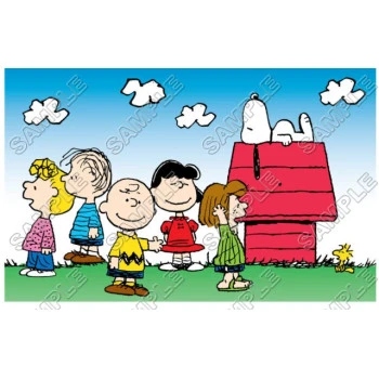 Peanuts, Snoopy, Charlie Brown T Shirt Iron on Transfer Decal ~#14