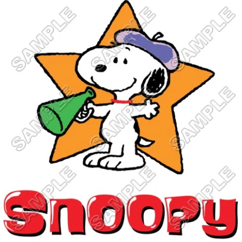 Peanuts, Snoopy, Charlie Brown   T Shirt Iron on Transfer Decal ~#9