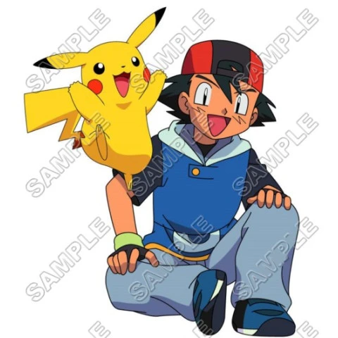 Pokemon  T Shirt Iron on Transfer Decal ~#1