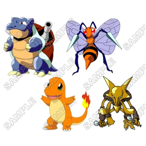 Pokemon T Shirt Iron on Transfer  Decal  ~#19