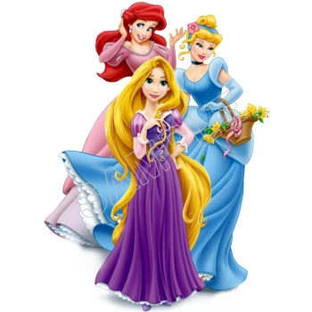 Rapunzel  Ariel Princess T Shirt Iron on Transfer Decal ~#57