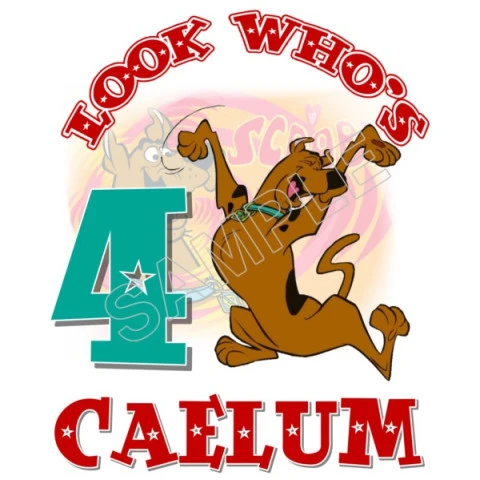 Scooby Doo  Birthday Personalized Custom T Shirt Iron on Transfer Decal ~#44