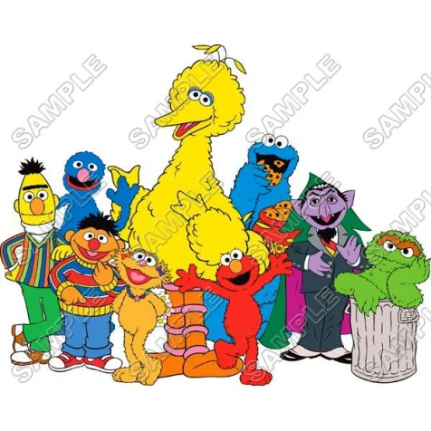 Sesame street  T Shirt Iron on Transfer Decal ~#18