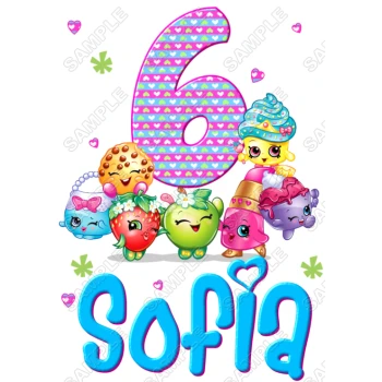 Shopkins Personalized Birthday T Shirt Iron on Transfer Decal ~#3
