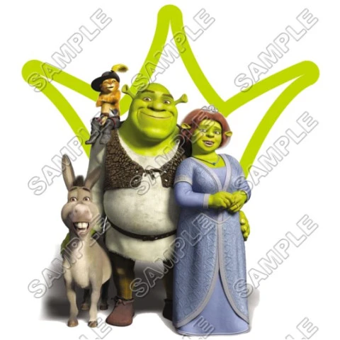 Shrek T Shirt Iron on Transfer Decal ~#2