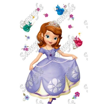 Sofia the  First Princess T Shirt Iron on Transfer Decal ~#4