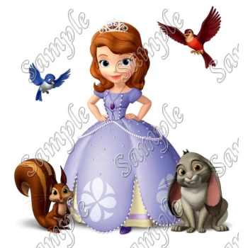 Sofia the First Princess T Shirt Iron on Transfer Decal ~#5