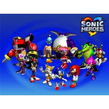 Sonic Heroes  T Shirt Iron on Transfer  Decal ~#48