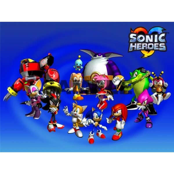 Sonic Heroes  T Shirt Iron on Transfer  Decal ~#48