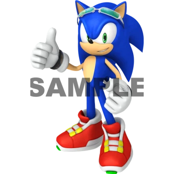 Sonic  Rider   T  Shirt Iron on Transfer Decal ~#23