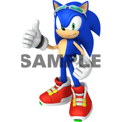 Sonic  Rider   T  Shirt Iron on Transfer Decal ~#23