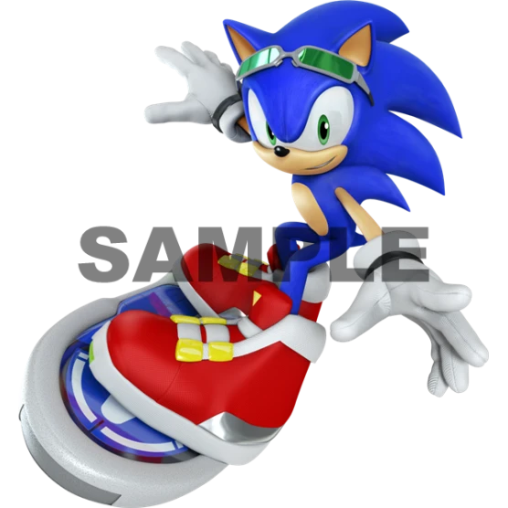 Sonic  Rider  T Shirt Iron on Transfer Decal ~#24