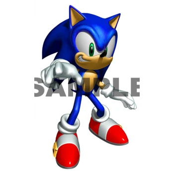 Sonic T Shirt Iron on Transfer Decal ~#26