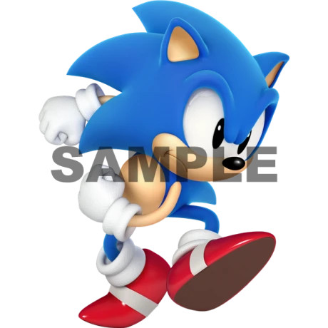 Sonic T Shirt Iron on Transfer Decal ~#5