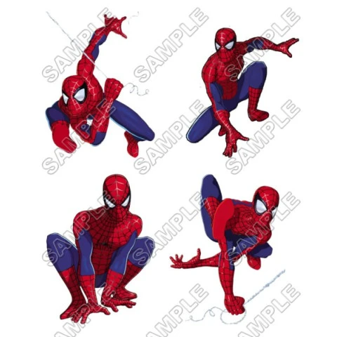 SpiderMan T Shirt Iron on Transfer Decal ~#1