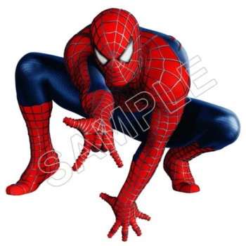SpiderMan  T Shirt Iron on Transfer  Decal  ~#10