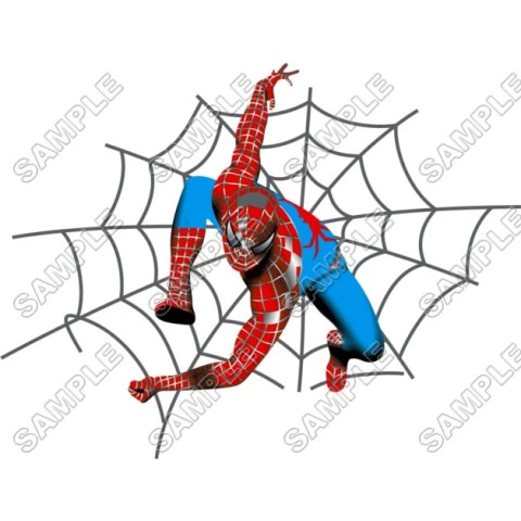 SpiderMan T Shirt Iron on Transfer Decal ~#4