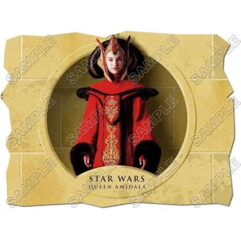 Star Wars Queen Amidala T Shirt Iron on Transfer Decal ~#28