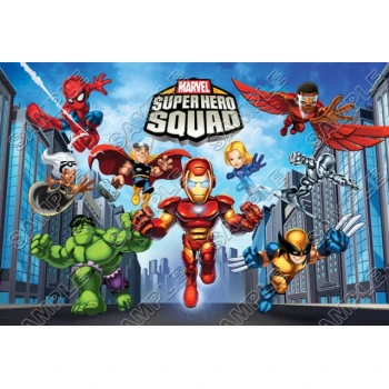 Super Hero Squad T Shirt Iron on Transfer  Decal  ~#1