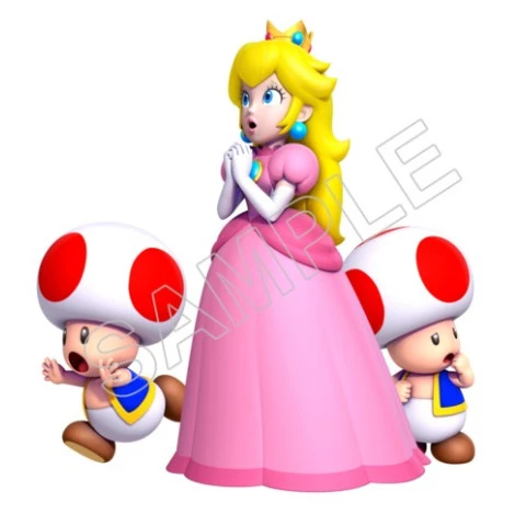 Super Mario Bros. Princess  Peach and Toads T Shirt Iron on Transfer Decal ~#29