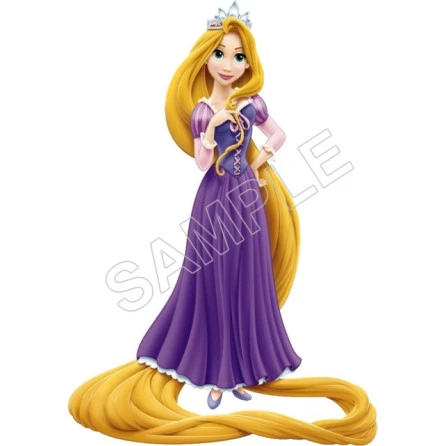 Tangled T Shirt Iron on Transfer Decal ~#12