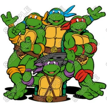 Teenage Mutant Ninja Turtles T Shirt Iron on Transfer Decal ~#1