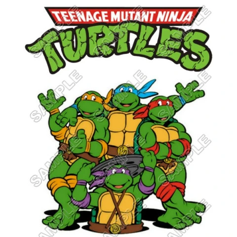 Teenage Mutant Ninja Turtles T Shirt Iron on Transfer Decal ~#6