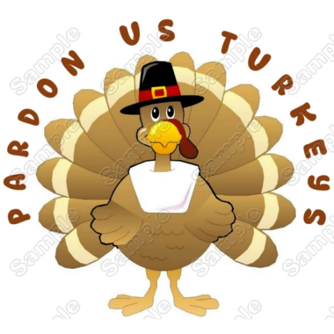 Thanksgiving Pardon Turkey  T Shirt Iron on Transfer  Decal