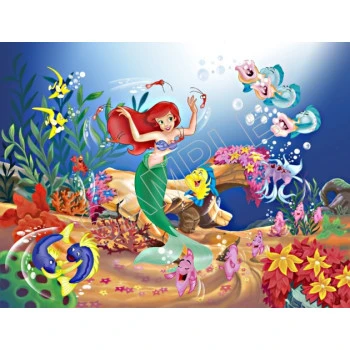 The Little Mermaid Ariel T Shirt Iron on Transfer  Decal  ~#3