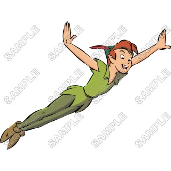 Tinkerbell Peter Pan T Shirt Iron on Transfer Decal ~#4