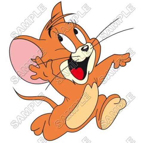 Tom and Jerry  T Shirt Iron on Transfer Decal ~#6