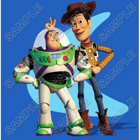 Toy Story  T Shirt Iron on Transfer  Decal ~#3