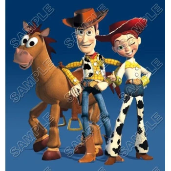 Toy Story  T Shirt Iron on Transfer  Decal ~#5