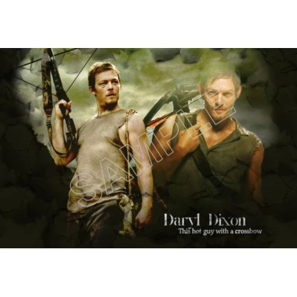 Walking Dead Daryl Dixon  T Shirt Iron on Transfer Decal ~#1