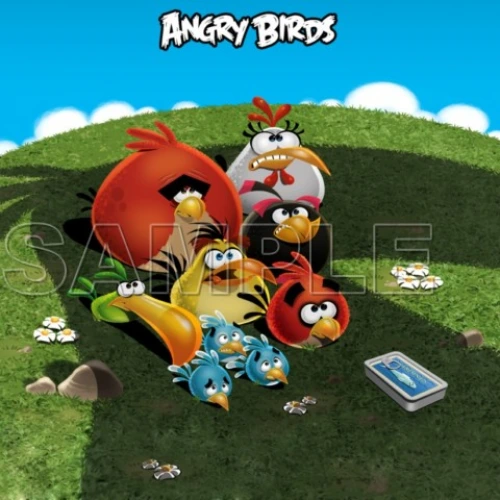  Angry Birds T Shirt Iron on Transfer  Decal  ~#3 by www.topironons.com