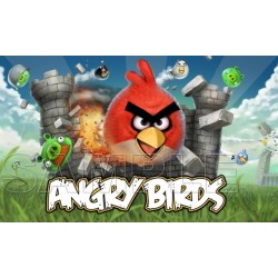 Angry Birds T Shirt Iron on Transfer  Decal  ~#4