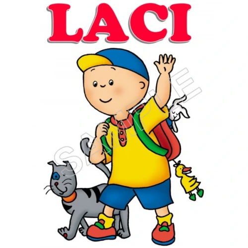  Caillou  Personalized  Custom  T Shirt Iron on Transfer Decal ~#75 by www.topironons.com