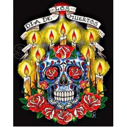 Day of the Dead  D?a de Muertos Skull T Shirt Iron on Transfer Decal ~#4