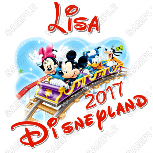  Disney Disneyland Vacation Cruise  Personalized  Custom  T Shirt Iron on Transfer Decal ~#12 by www.topironons.com