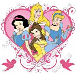 Disney Princess T Shirt Iron on Transfer Decal ~#12