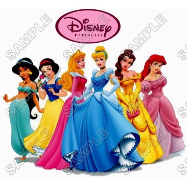 Disney Princess T Shirt Iron on Transfer Decal ~#17