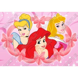 Disney Princess T Shirt Iron on Transfer Decal ~#24