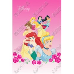 Disney Princess T Shirt Iron on Transfer Decal ~#17