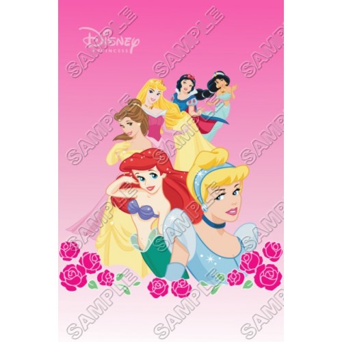  Disney Princess T Shirt Iron on Transfer Decal ~#26 by www.topironons.com