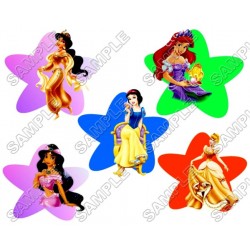 Disney Princess T Shirt Iron on Transfer Decal ~#35