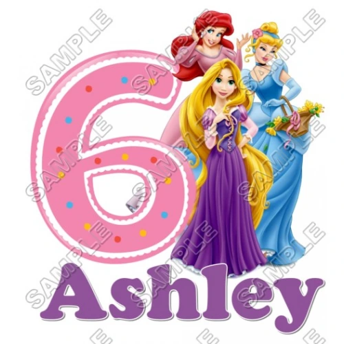  Disney Princess Tangled  Birthday  Personalized  Custom  T Shirt Iron on Transfer Decal ~#28 by www.topironons.com