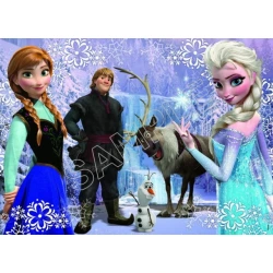 Frozen Elsa Anna Olaf  T Shirt Iron on Transfer  Decal  ~#2