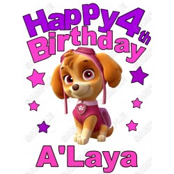 Happy Birthday PAW Patrol Skye Personalized Custom T Shirt Iron on Transfer Decal ~#29