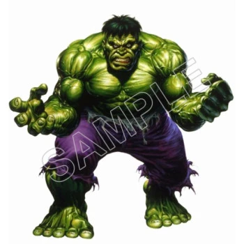 Incredible hulk T Shirt Iron on Transfer Decal ~#3