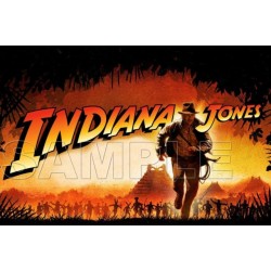 INDIANA JONES  T Shirt Iron on Transfer  Decal  ~#1